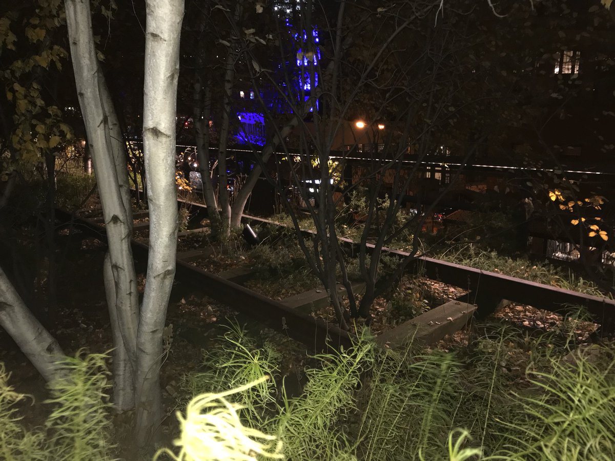 RoosterMax's tweet image. #HighlinePark in Chelsea is nice. I love the concept... but in Texas we call those weeds 😆#SorryNotSorry