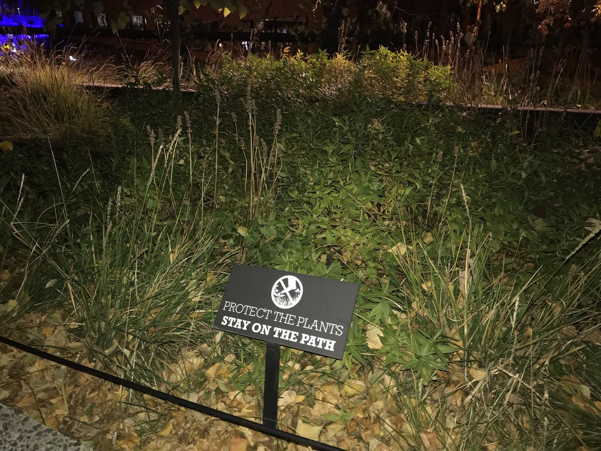 RoosterMax's tweet image. #HighlinePark in Chelsea is nice. I love the concept... but in Texas we call those weeds 😆#SorryNotSorry