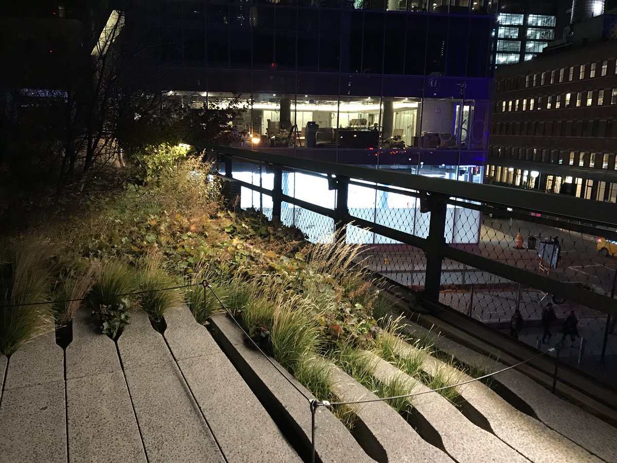 RoosterMax's tweet image. #HighlinePark in Chelsea is nice. I love the concept... but in Texas we call those weeds 😆#SorryNotSorry