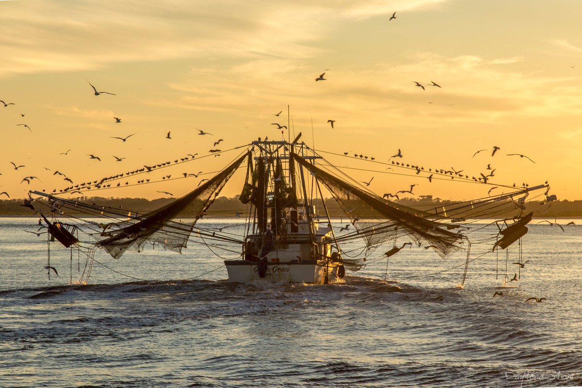 RollWithSoul's tweet image. 