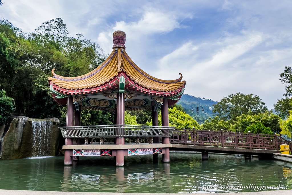 amibhat's tweet photo. New Post: From culture to heritage, from adventure to street fun, &amp; the beaches to rainforests , add the street food and shopping....so much to do in Penang. Here are my top 10 things to do in Penang  https://t.co/WtJRj5IMIZ
#Travel
#Penang
#Malaysia https://t.co/otCMgHLafh