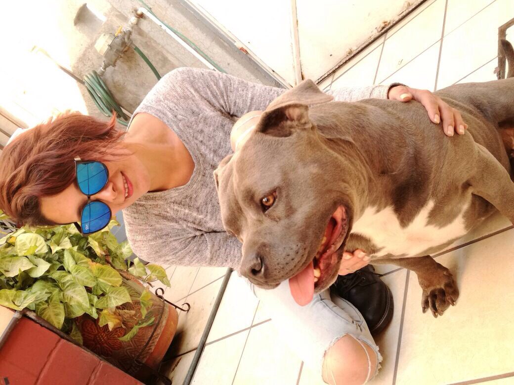 YetzPinkOficial's tweet photo. Hoy conocí a un galán tan hermosos que hacen feliz a muchas personas y nos hacen una muy buena compañía. #QuiereLos #AmericanBullyPocket #CosasQueEnamoran #FelizSabadoِ @fersw82 @MiauMiauHW @InakiLolasw @SexyEnfermera69 @EvaDavai @MBALVAROOBREGON https://t.co/23wSTVGQsF