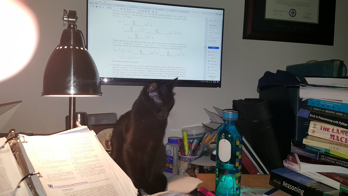 Cartesian2014's tweet photo. #AcademicsWithCats Petite Albert Camus ponders the absurdity of human logic https://t.co/sKfov7xnNN