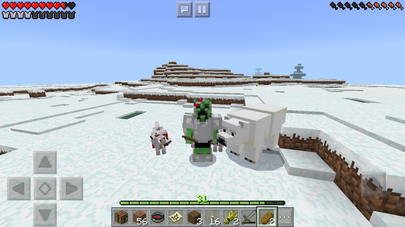 クリーパー店長 No Twitter 店長のマイクラ日誌 広範囲を探検中 シロクマさんに出会いました 連れてたオオカミさんたちも興味津々 シロクマって仲間にできないの Minecraft マイクラ マイクラpe マインクラフト マイクラグッズ T Co Qtddidvbwb