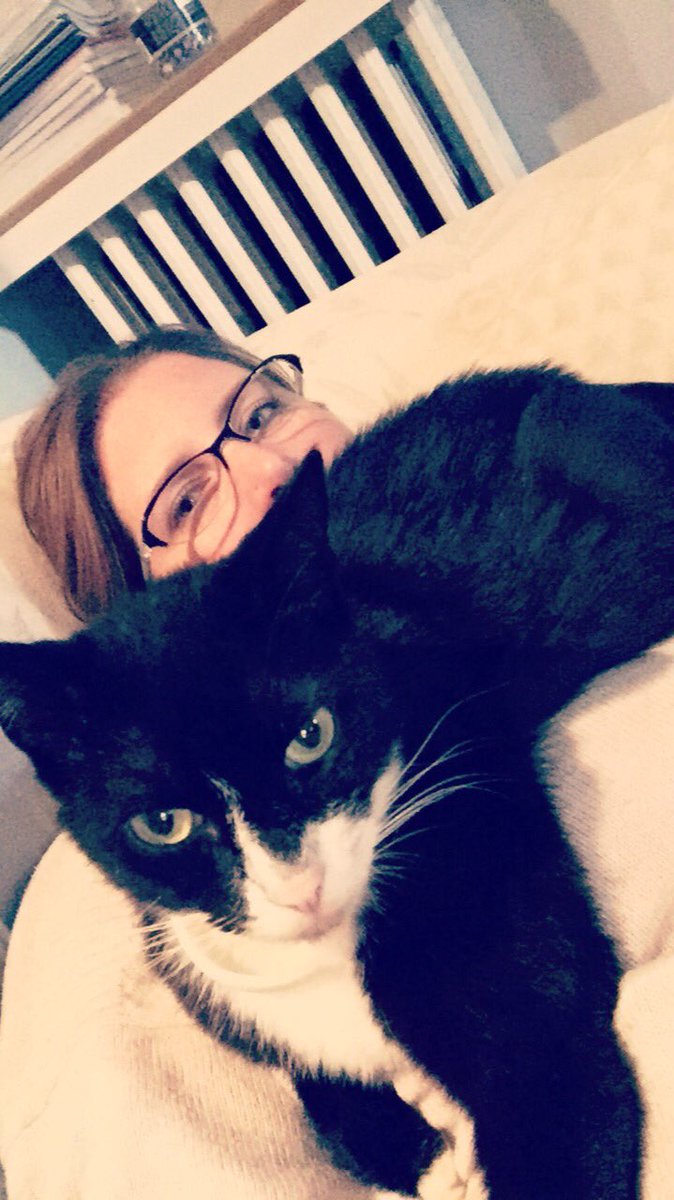 leanmcfa1's tweet photo. Kitty Cuddles #furbabylove https://t.co/GYOgetP6E2