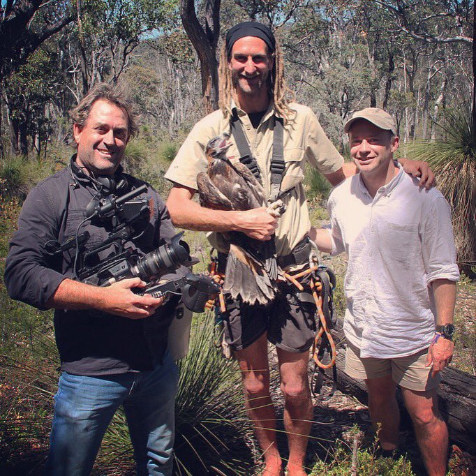 How do you catch a #WedgetailedEagle? Find out tonite on @theprojecttv 630pm! @MurdochUniNews #wildoz #WhereWedgiesDare