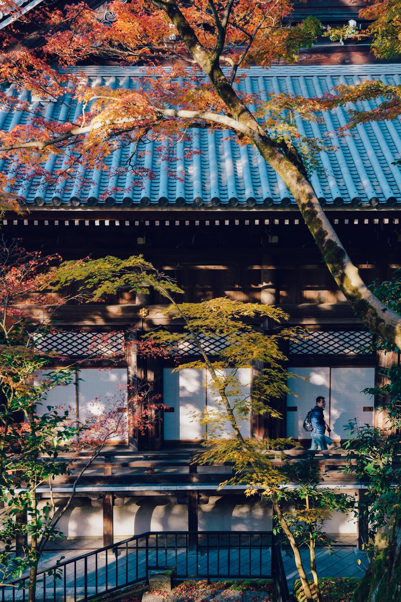 横田 裕市 写真家 On Twitter まだlightroomが A7riii のraw非対応なようですが自分がlightroomで Raw現像した方法 Sonyの現像ソフトimaging Edgeのviewerでデータをセレクト後に Tiffで書き出し Tiffファイルならlightroomで現像できます 1ファイル250mb近くに