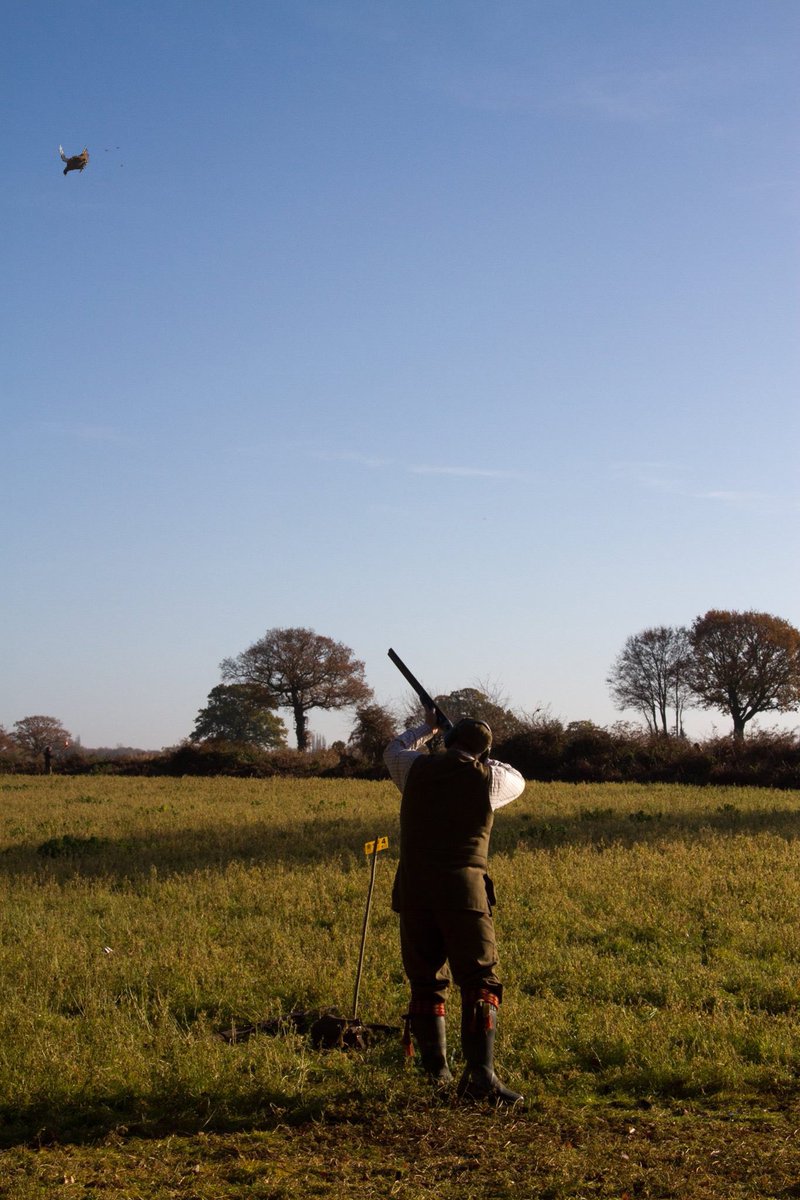 P789man's tweet photo. Shooting season in full swing@harghamestate Norfolk https://t.co/YwxV8EahIl