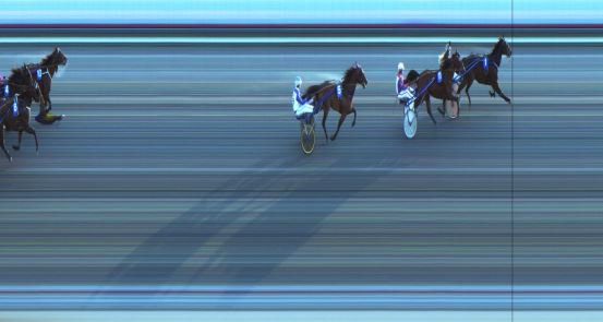 ☄Spirit og Smashing ☄🥇🥇 begge vinnere på Jarlsberg fra tet💖💖 en helt ubeskrivelig dag 🥂🍾🏆