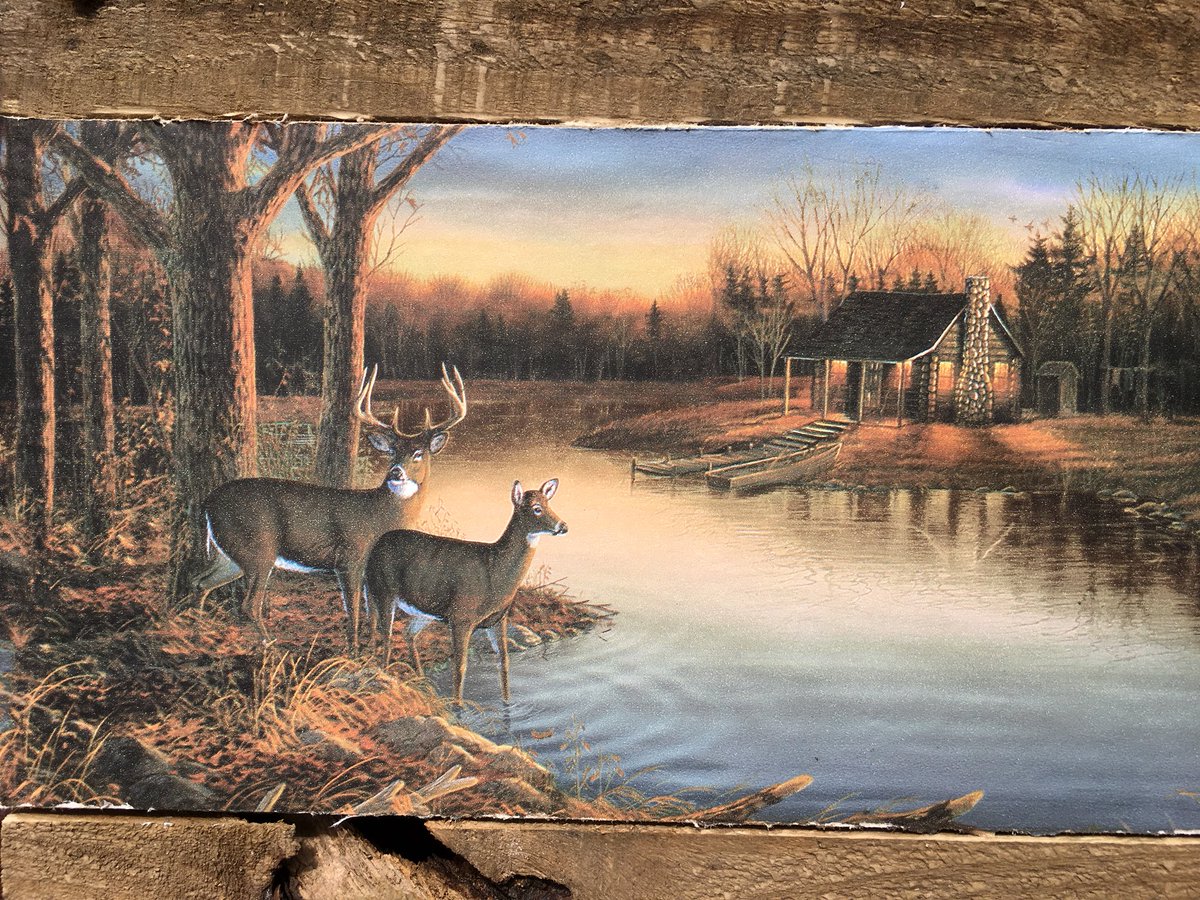 I made this deer antler coat and hat rack ..