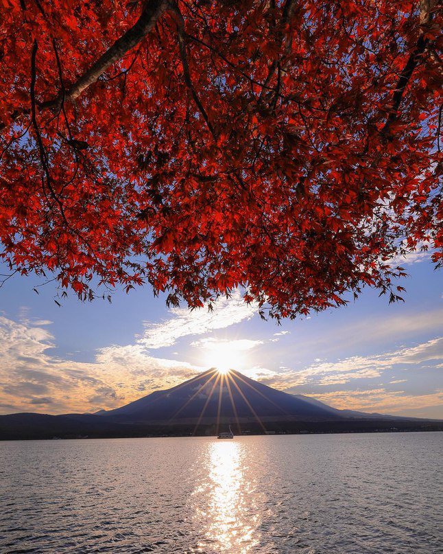 SarahSevenA's tweet photo. @luthful7 @bettinaschroed5 @rosina_strebig @sulenaka @BylPortia @patti_novakoski @AWESOME_WORLD13 @sitaravirgo @Saffron606 @mieke_siegersma @HavelLolita @habelabbadi_com  https://t.co/5B1mKePAsa