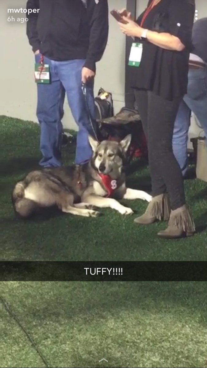 MikeToper1's tweet photo. Love covering football.. but honestly my favorite part of going to @PackAthletics is seeing Tuffy #Tuffy2 #GoTuffy https://t.co/xfxUij8UTP