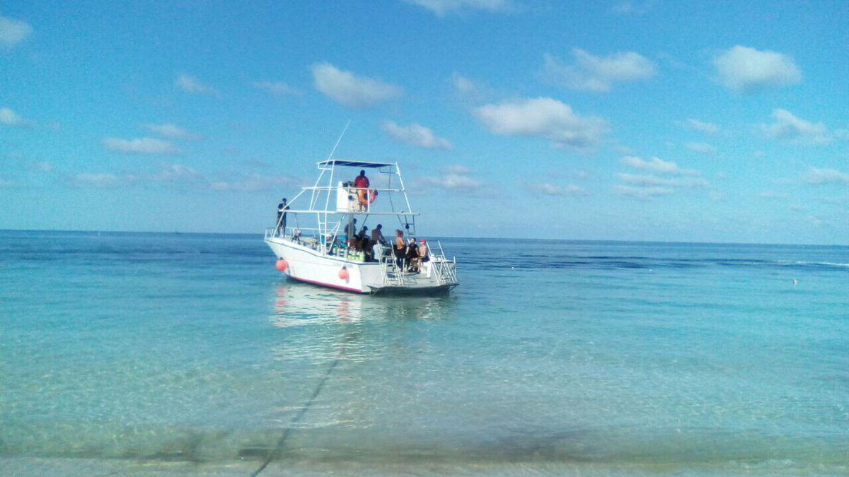 tgiroatan's tweet photo. #tgidiving#roatan#scubadiving# https://t.co/dLtBkfDv4A