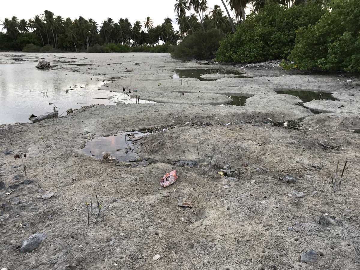 MBDCouncil's tweet photo. Community driven bottom up approach &amp; close engagement has resulted in a clearer, safer and more informed community on the benefits of  the mangrove. See the before VS after #ClimateAction #savemangroves https://t.co/Dic4UFBYfA