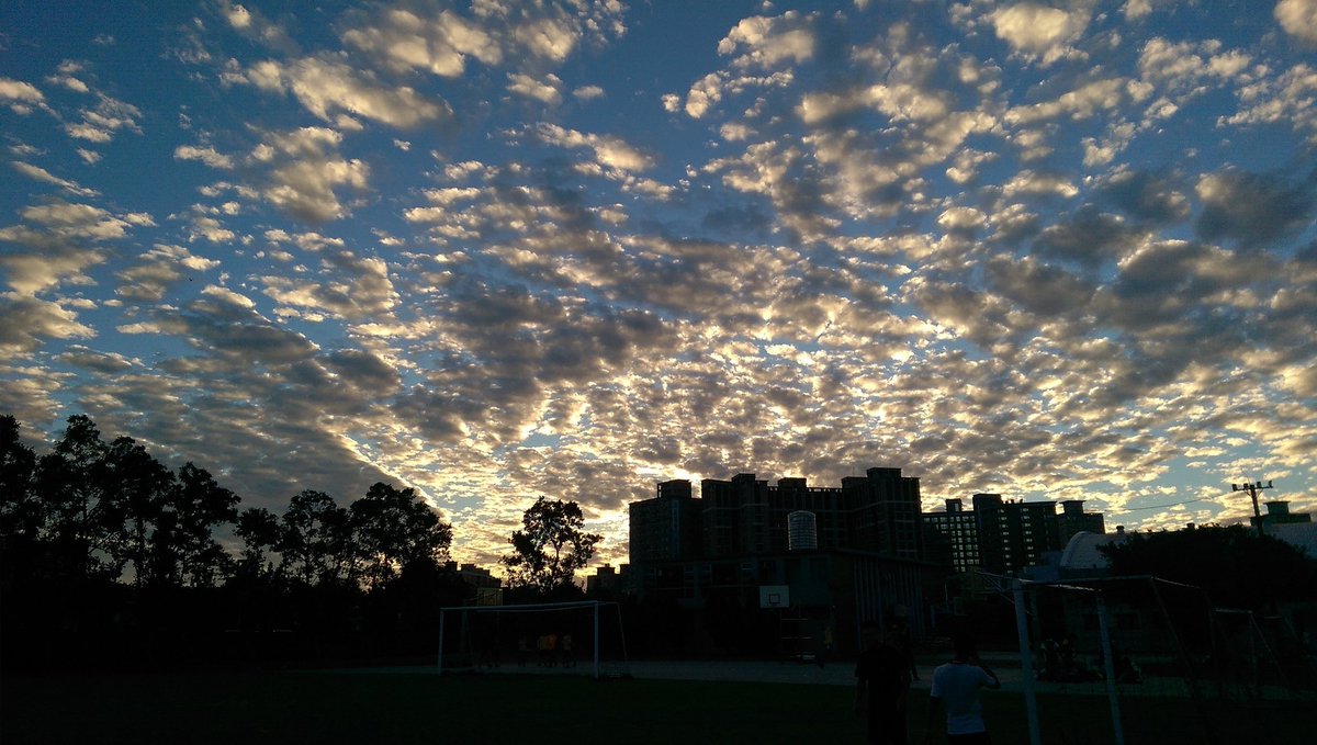 Twitters:
Best articles you write.
Greatest artworks you draw.
Beautiest photos you take.
I deeply respect yours.
Thanks. I find my interest.