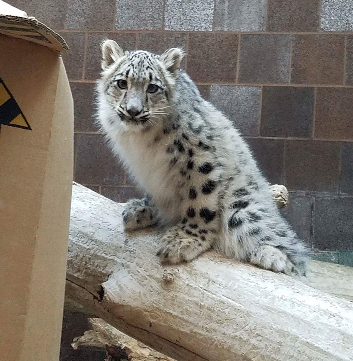 OmahaZoo tweet picture