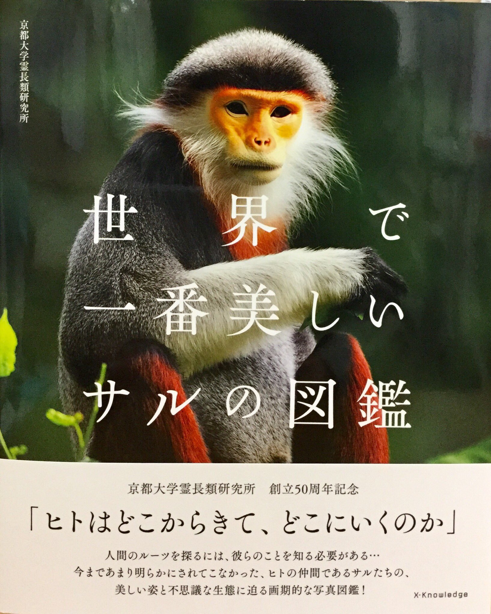 Twitter 上的 日本モンキーセンター 公式 世界で一番美しいサルの図鑑 を ビジターセンターのミュージアムショップにて販売いたします モンキーセンターのお隣の京都大学霊長類研究所が編者となって作られた本です とても綺麗な写真がたくさんの 名前の通り