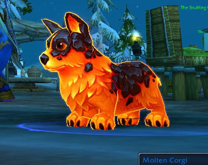 GypsyNukuchan's tweet photo. The only anniversary pet I missed since Vanilla. So sad /cry World of #Warcraft! #A3Pets https://t.co/OmSITR185T