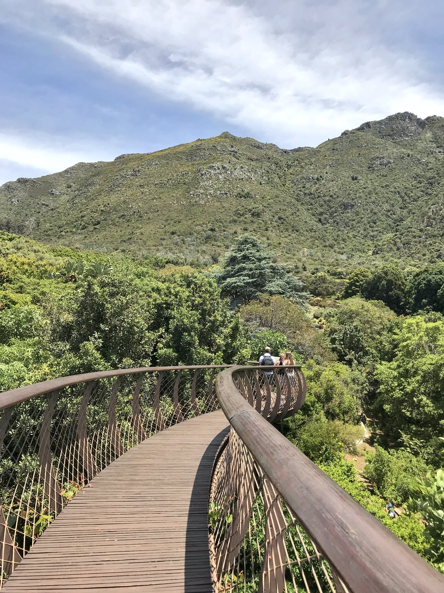 julesserkin's tweet photo. #SumptuousSunday some pix from yesterday’s #Constantia  Botanical #gardens #travelAfrica New Husband on #banana tree https://t.co/Cjc558OsZd