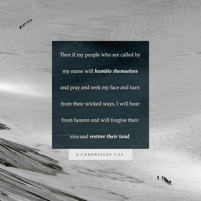 Mannidre's tweet photo. Mercy Lord https://t.co/uTzdogm74t