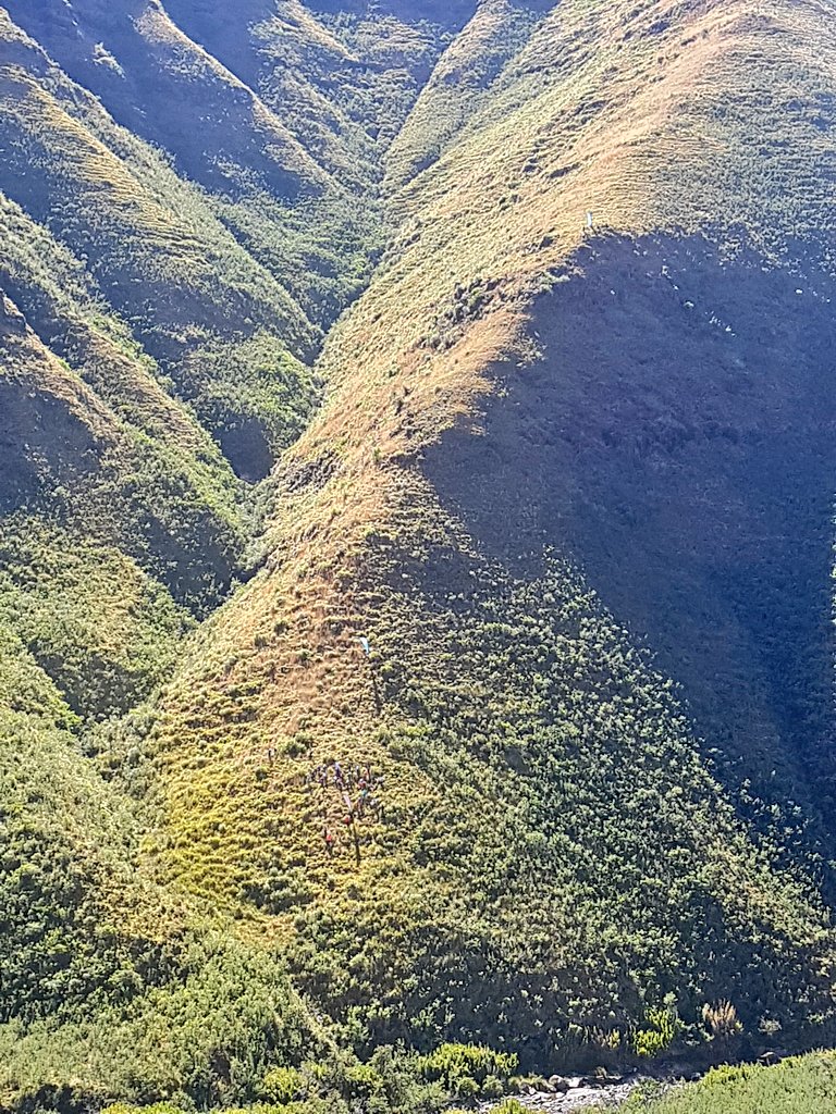 Lesotho Ultra tweet media