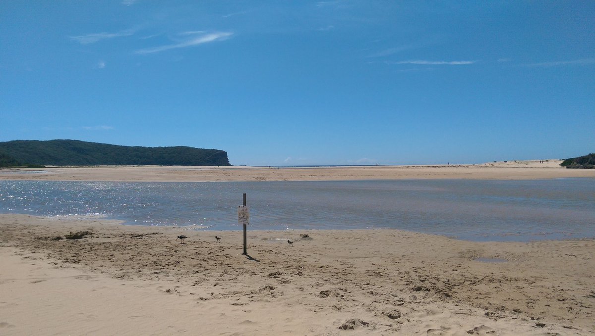 John Perkins tweet media