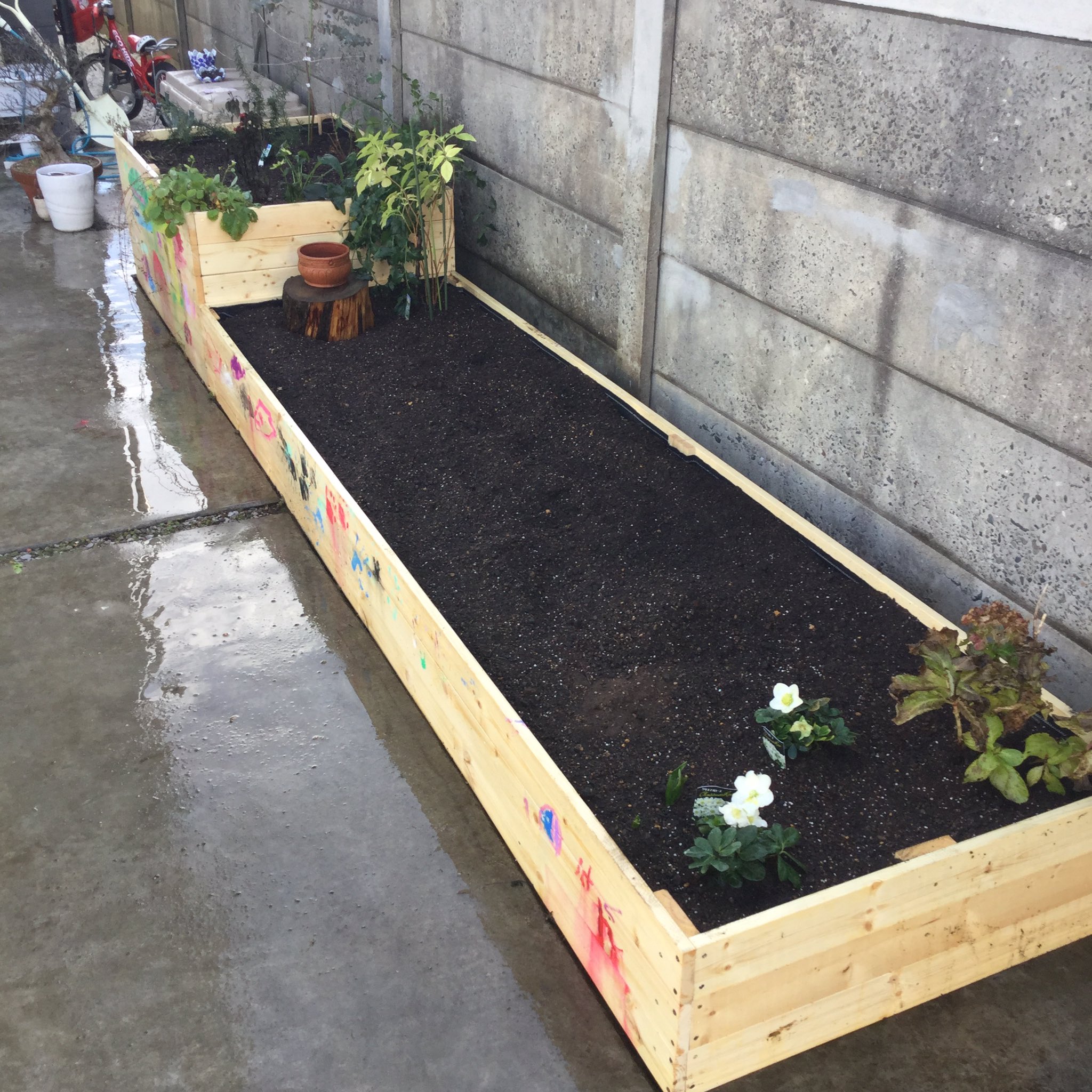 Flower Diningpalette 今日は花壇作りに行って来ました 向こうの一段高い方はイチゴやハーブやクランベリーなどが植わっています 腰の高さなのでしゃがまないでも収穫できるんです 鉢が置いてある丸太は壁側の実を収穫するときに足を置く所 普段は鉢を