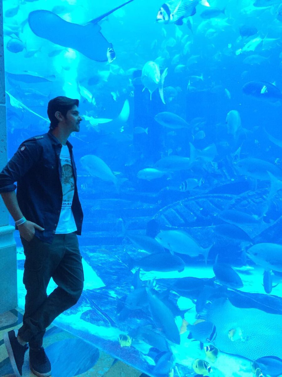rohan4747's tweet photo. The marine mood 💙 #Underwater #HangingOutWithTheSharks #Vacation #Dubai #DubaiDiary https://t.co/9XryoiCMLn