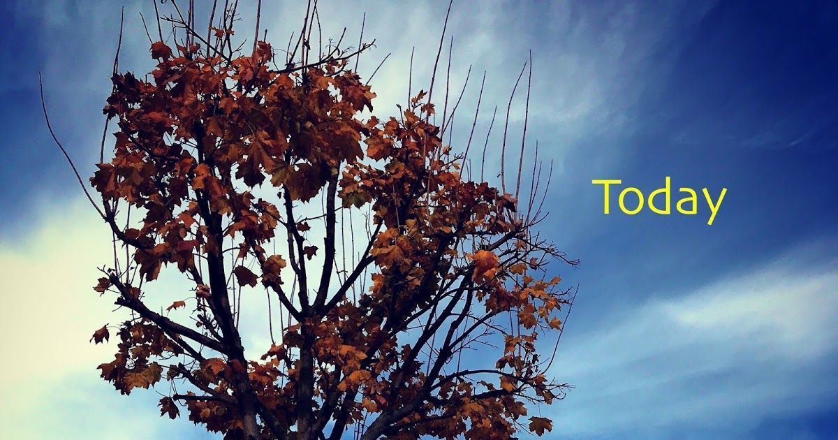 Today is a good day: A blog
#adoption #waso
buff.ly/2n1HjAK