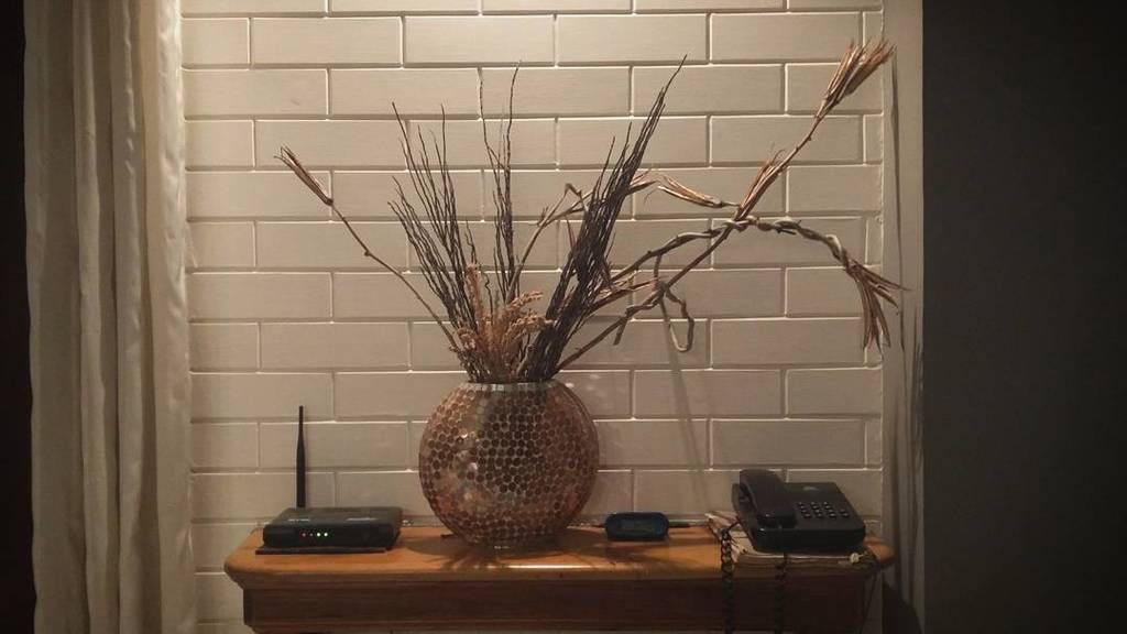 harameco's tweet photo. "Ghar ko hotel bana diya hai" || (1.1)
Quote by father.
Plant by me.
#InteriorDesign by @pii.stories.
.
.
.
.
#urbangreenery #plantstagram #botanical #botanicalstyling #greenery #urbanjunglebloggers #urbanjungle #plantlife #plantsofinstagram #urbanfarmi… https://t.co/29J3nrQYQb https://t.co/8GC3wSadn6