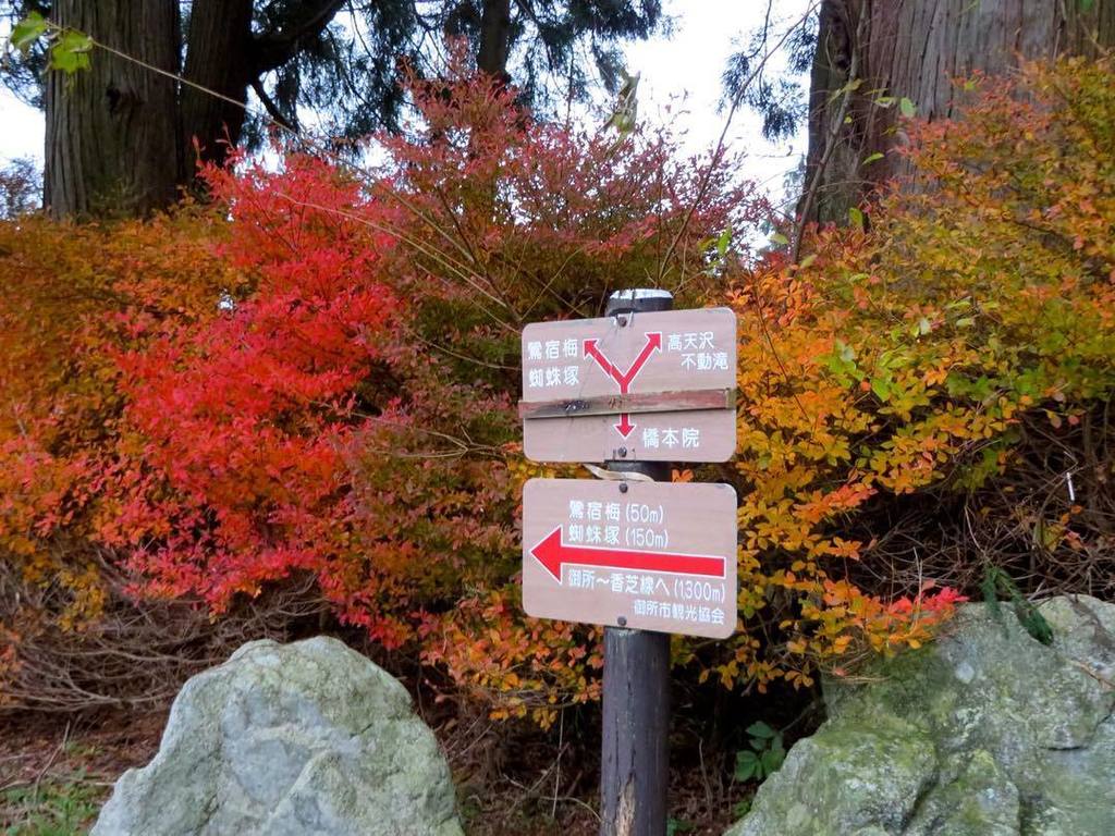 nosenose_seijin's tweet photo. どこへ行っても佳き場所です。そうここは葛城の地。土蜘蛛と呼ばれた人たちも居たのだよ。 #奈良 #葛城 #御所 #高天彦神社 #葛城古道 #土蜘蛛伝説 #紅葉🍁#automne2017 #NARA #japon https://t.co/vMtwDWj5n8 https://t.co/kaQZpsKFjB
