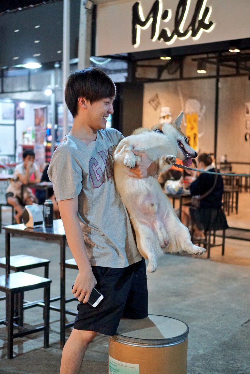 noonoy35's tweet photo. ช่างเป็นผู้ชายน่ารัก เพราะรักหมาเหมือนกัน ชอบบอลทีมเด็กผีเหมือน แต่พี่เต๋าจะไปเชียร์ถึงขอบสนามฝากถ่ายรูปมาเย้ยไบรท์ด้วยนะ 😂😝😜 #BrightWitchawet #taophiangphor #myshiro28 #rfei https://t.co/HxFGcqqiY0