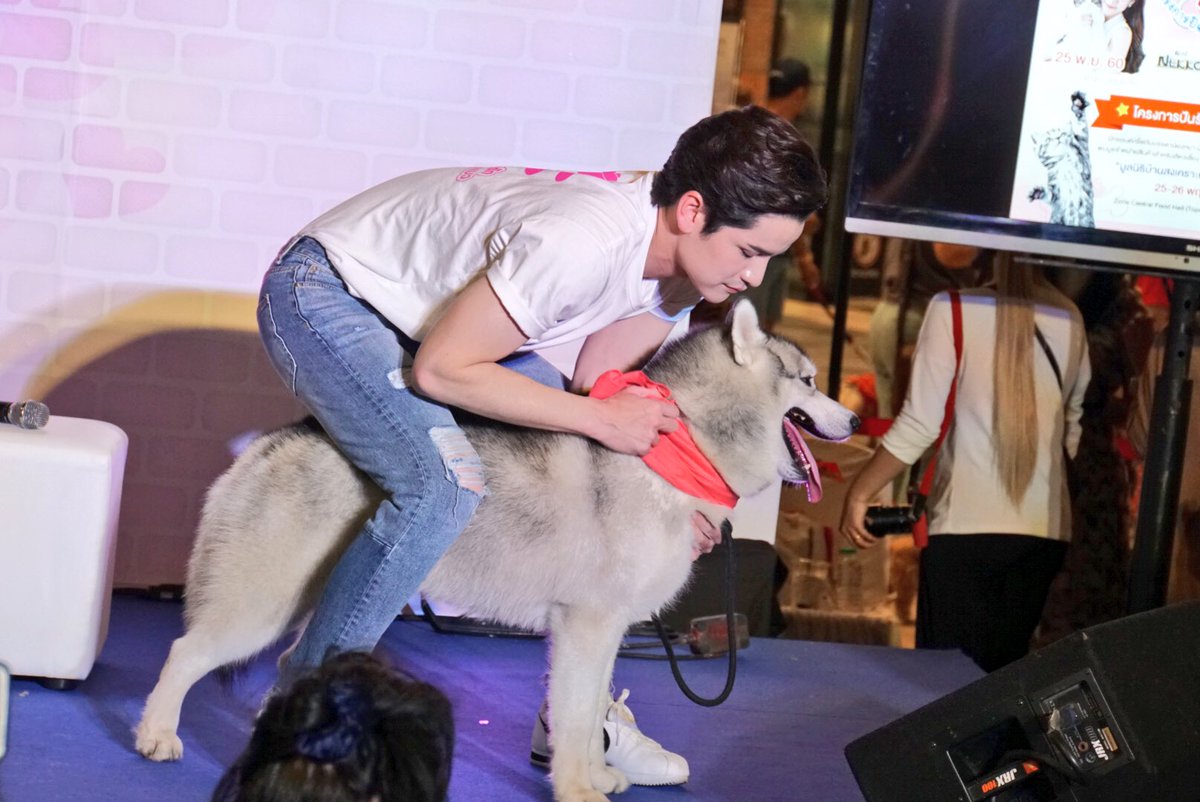 noonoy35's tweet photo. ช่างเป็นผู้ชายน่ารัก เพราะรักหมาเหมือนกัน ชอบบอลทีมเด็กผีเหมือน แต่พี่เต๋าจะไปเชียร์ถึงขอบสนามฝากถ่ายรูปมาเย้ยไบรท์ด้วยนะ 😂😝😜 #BrightWitchawet #taophiangphor #myshiro28 #rfei https://t.co/HxFGcqqiY0