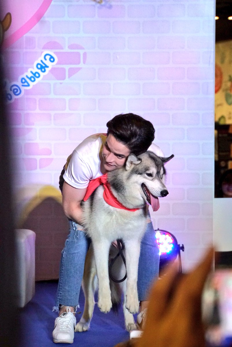noonoy35's tweet photo. ช่างเป็นผู้ชายน่ารัก เพราะรักหมาเหมือนกัน ชอบบอลทีมเด็กผีเหมือน แต่พี่เต๋าจะไปเชียร์ถึงขอบสนามฝากถ่ายรูปมาเย้ยไบรท์ด้วยนะ 😂😝😜 #BrightWitchawet #taophiangphor #myshiro28 #rfei https://t.co/HxFGcqqiY0