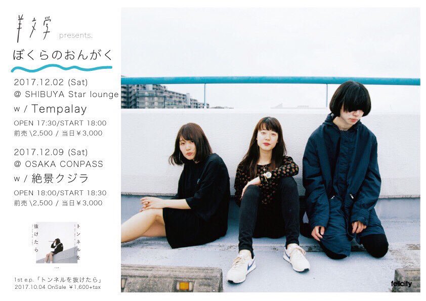 My Bloody Valentineを始め、Lusu、Ride、Chapterhouse、に続き様々な