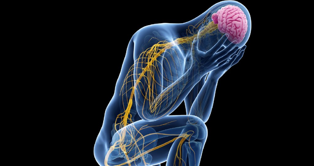 WebMD's tweet photo. Chronic worry and emotional stress can trigger a number of health problems. What you need to know: https://t.co/mSYIOCG3BY https://t.co/UMFfAbRcDz