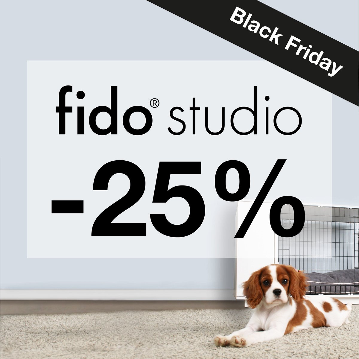 fido cyber monday