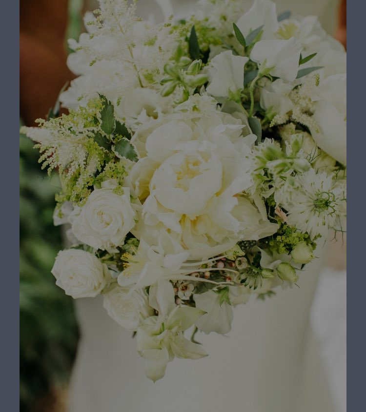 So excited to announce our shiny new website courtesy of the genius graphic designer @ryantallentdesign- he is the absolute best EVER✨🙌🏻👆🏻✨