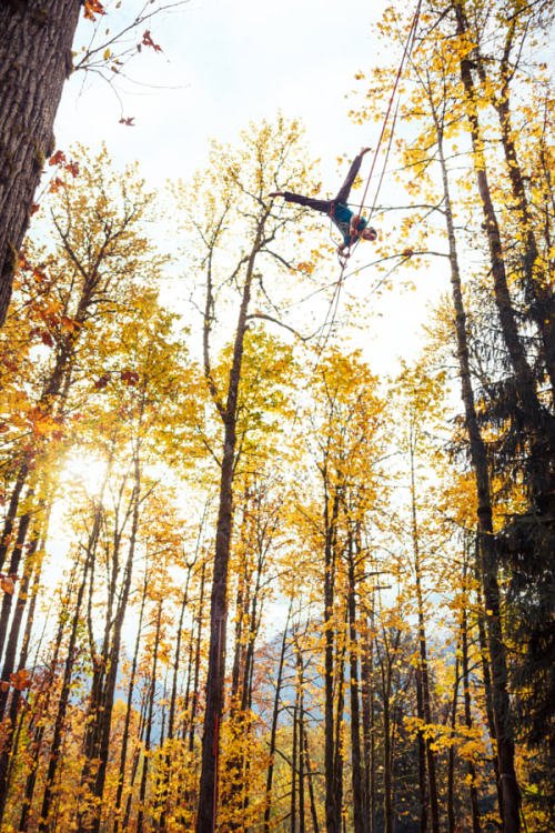 slackstore's tweet image. A slackline fall/autumn party. buff.ly/2n0UNwC #slacklife