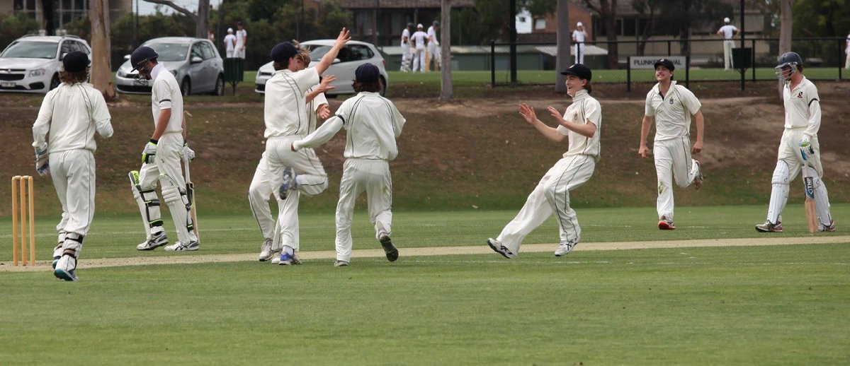 BlueBaggy's tweet photo. #TSG 

@APS_Sport https://t.co/3FYa1NpKnF