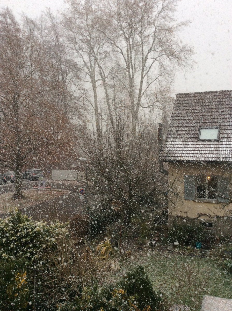 234_tnt's tweet photo. Hi Snow https://t.co/e66eVLT90U