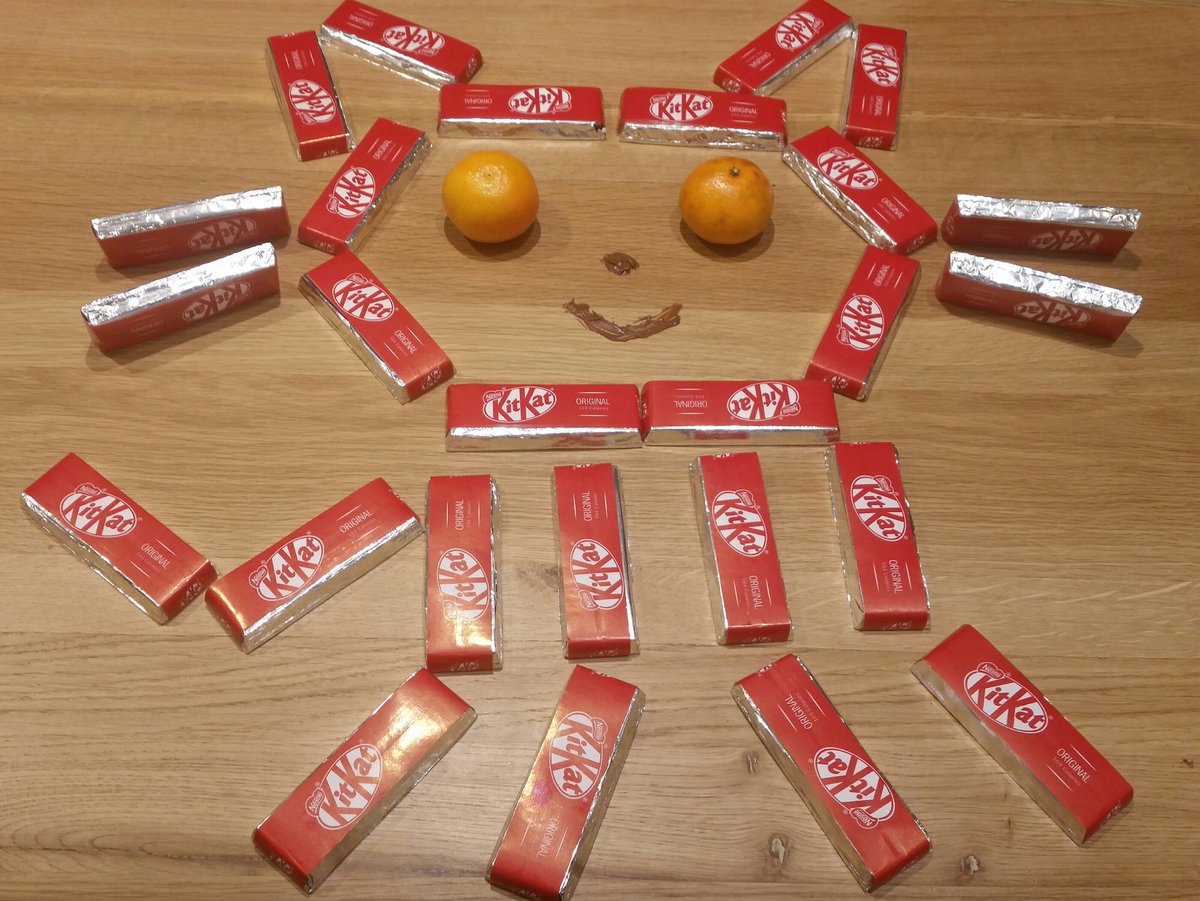 AndrewIColes's tweet photo. My OctoKitKat @GitHubEducation #MyOctocat #HackKings https://t.co/uo3sDqpx9I