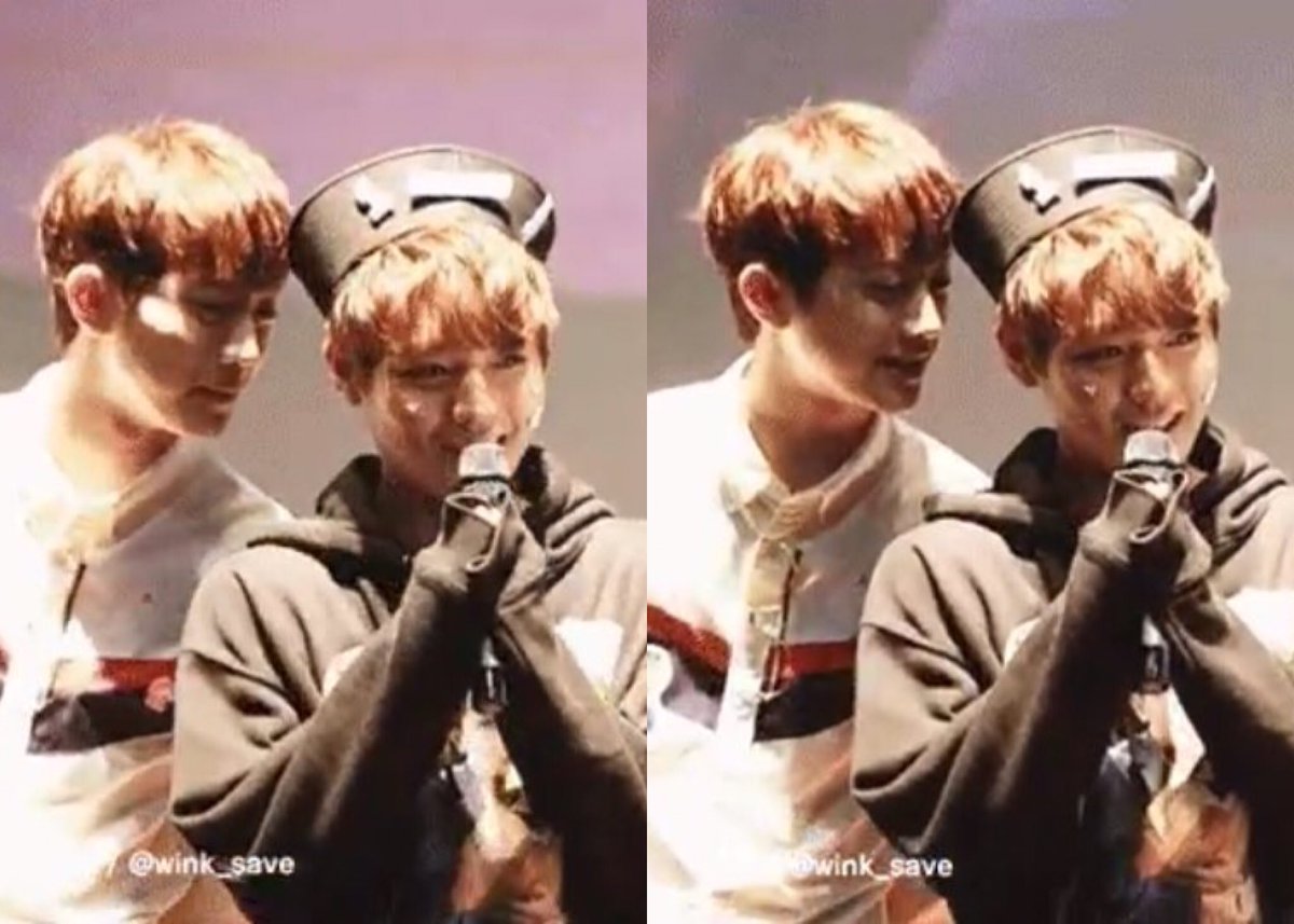 starnight923's tweet image. #판윙사랑해 
판윙없이 못살아