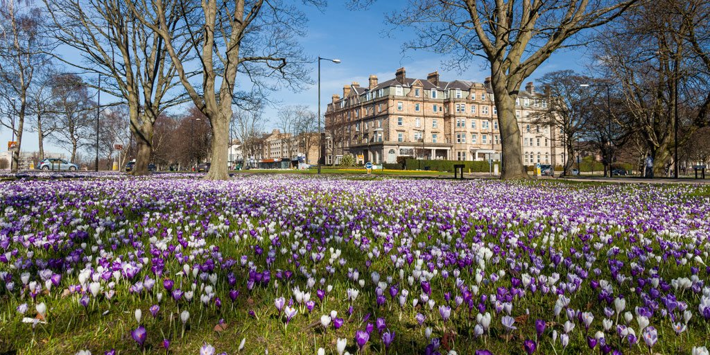 SuperBreak's tweet image. Explore the scenic town of Harrogate with a little help from our exclusive #BlackFriday sale - a cosy hotel stay, full breakfast &amp;amp; dinner on your 1st evening from £109pp: bit.ly/2ANosLI #AnotherBreak