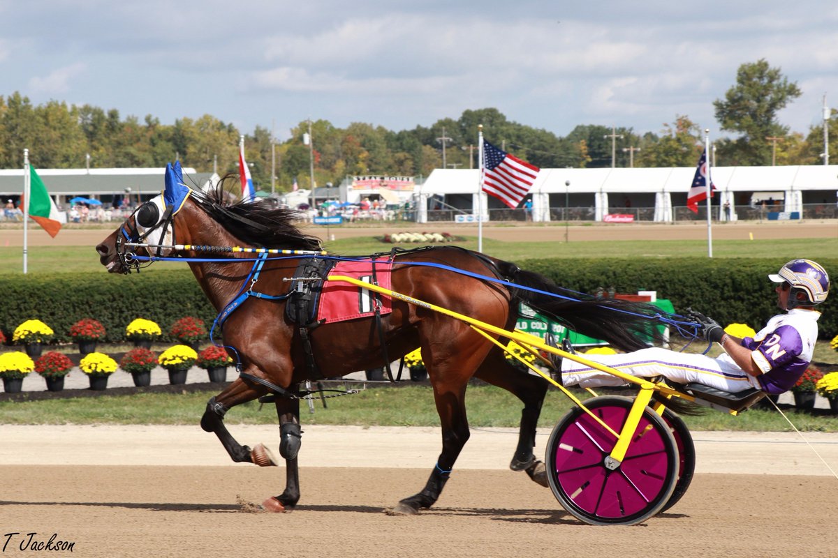 hoosiernations's tweet photo. GoodMorning @Chris_wponies @JoannKi32885615 @rebelsart @vnssa926 @dolenski_john @kimberlymoier @jtlburn @SadandSulk #ATcQueenie #DanNoble #Delaware https://t.co/2SddVPYjwl