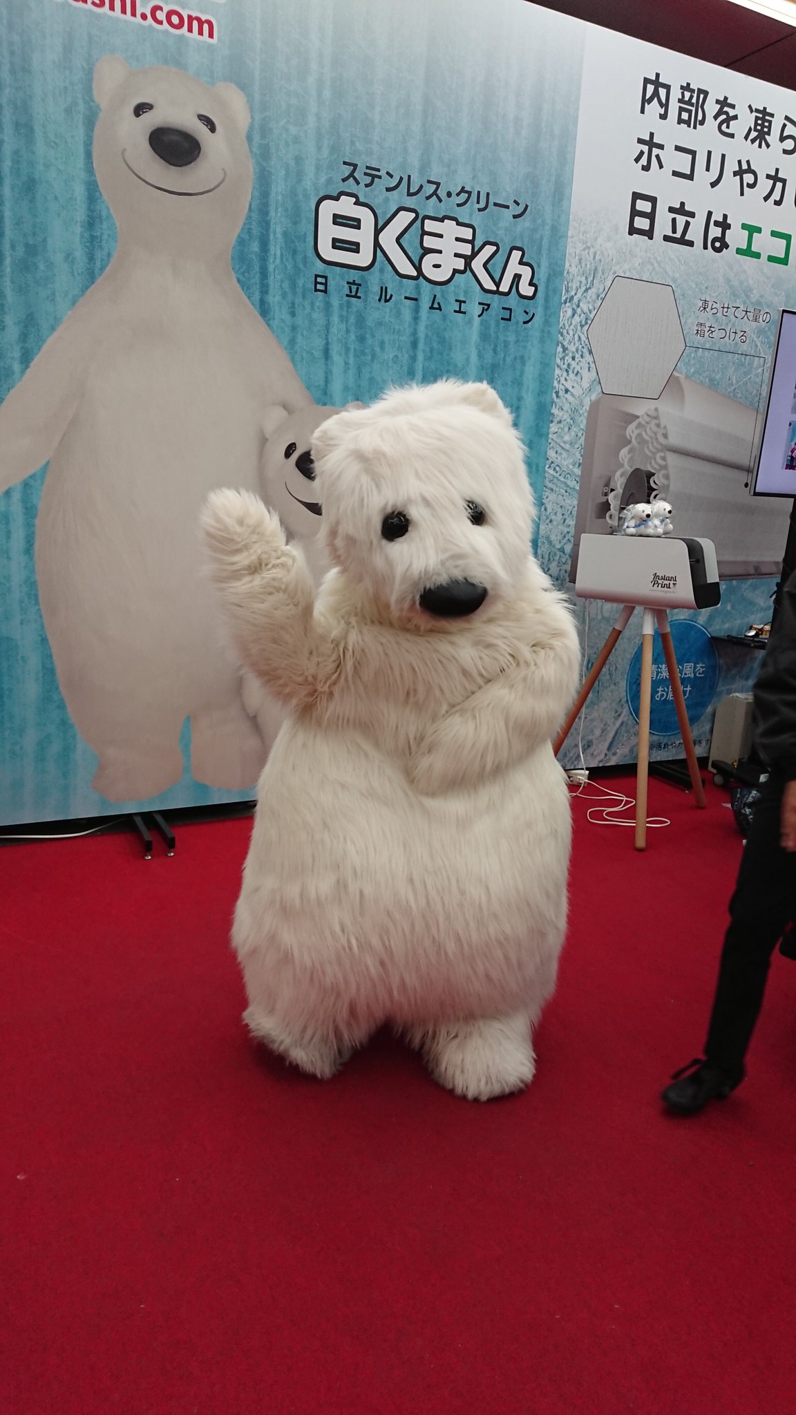 Emico 白くまくん スターウォーズに出てくるキャラみたいだけどくまらしい 笑 T Co Ht160px7cz Twitter