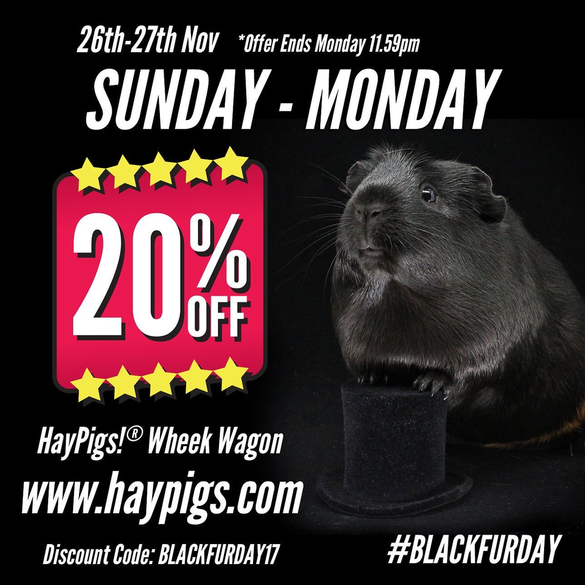 haypigs's tweet photo. 🌟SPECIAL OFFER!🌟 Use the discount code: BLACKFURDAY17 to receive 20% off a HayPigs!® Wheek Wagon™ 🐹🎪❤ Exclusive to https://t.co/kVCPWDpsyr #blackfurday #blackfriday2017 #blackfriday #haypigs #guineapigs #guineapigcircus #wheekwagon #sunday #monday #cybermonday #awesome https://t.co/qtKTEIWswx