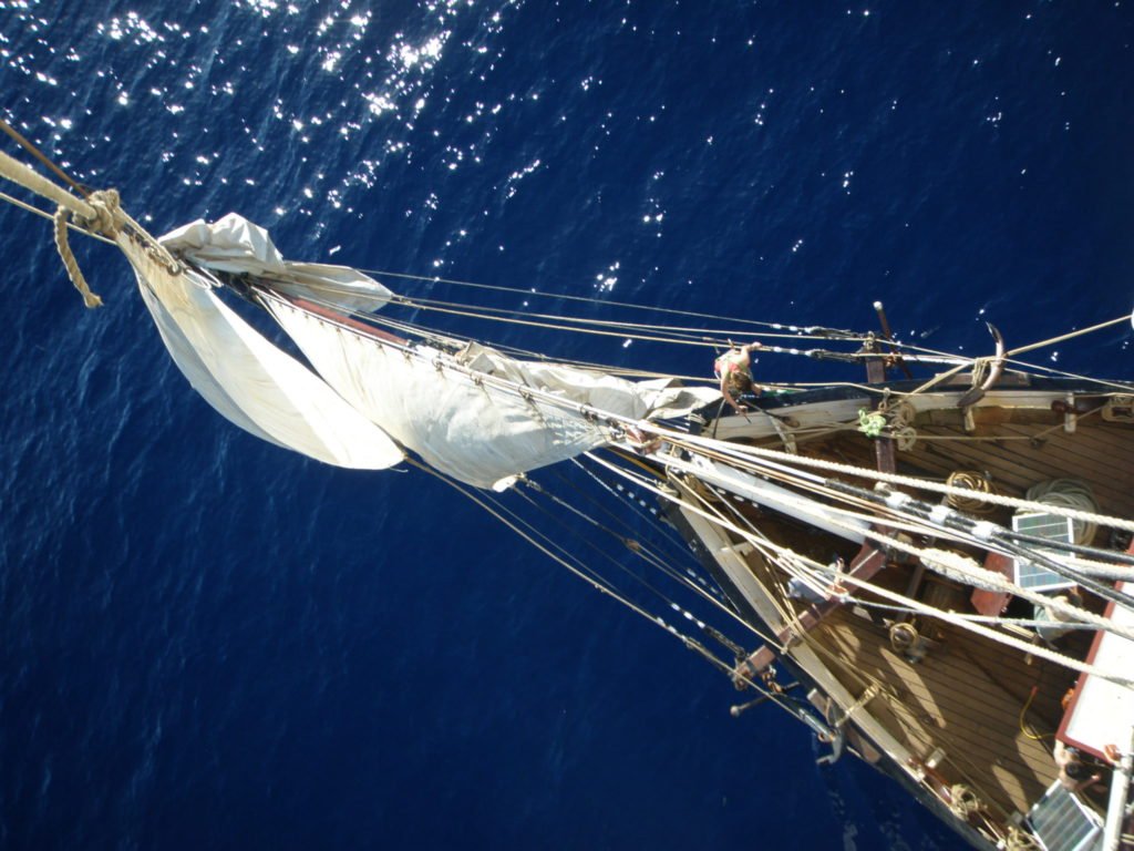 Fairtransport tweet media