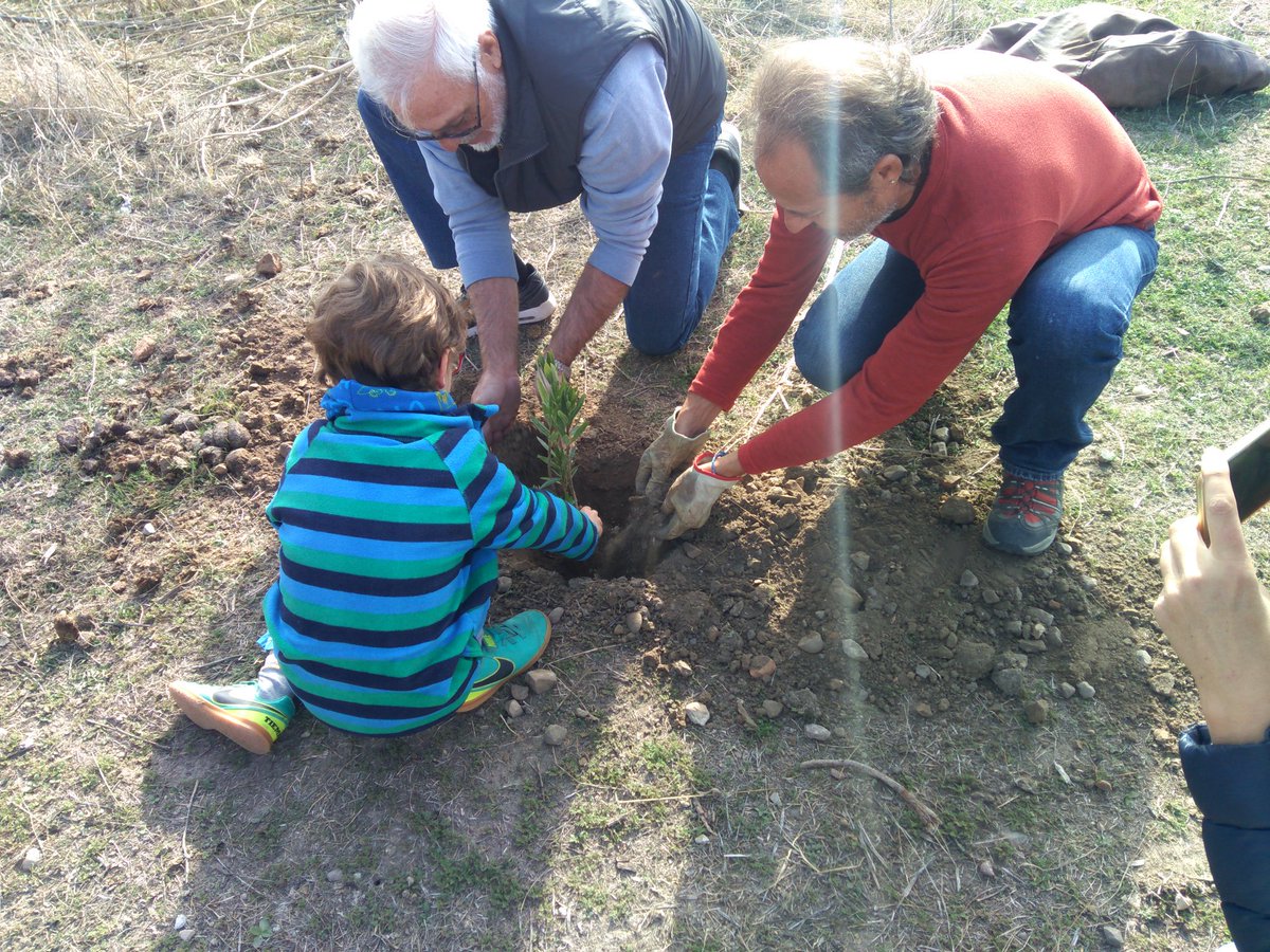 iusevillaciudad's tweet photo. 🌳 En la plantación ciudadana reivindicativa para que el parque de Tablada sea una realidad cuando antes. Por una Tablada Verde y Pública 🌿 https://t.co/ow5B4USOf1