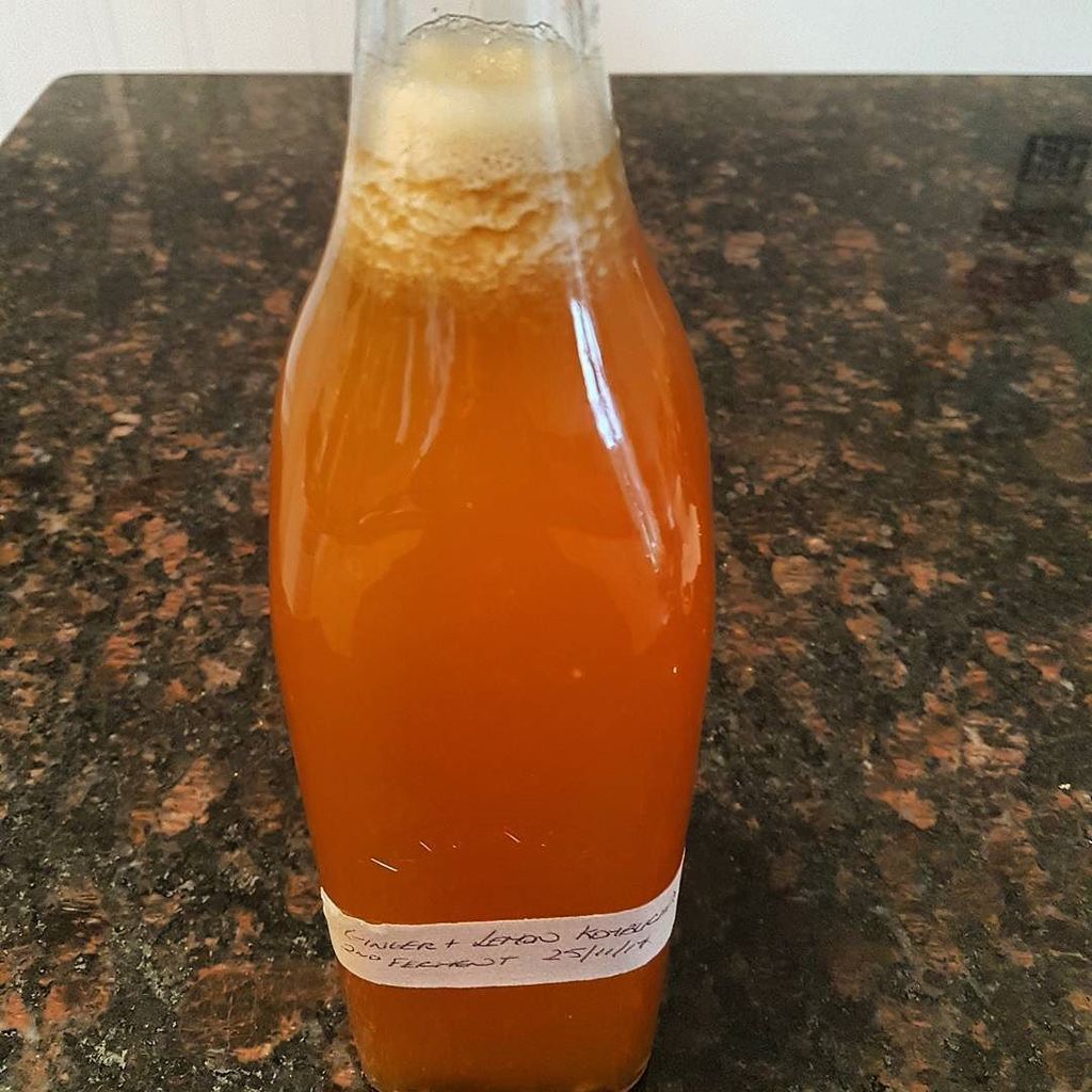 portobellowild's tweet photo. Well it's a pretty off putting day outside so am just gonna ferment today - my first flavored Kombucha - lemon &amp; ginger. Looking forward to trying this one 😊. https://t.co/12LcGVlPDH https://t.co/XpZoSQoZlb